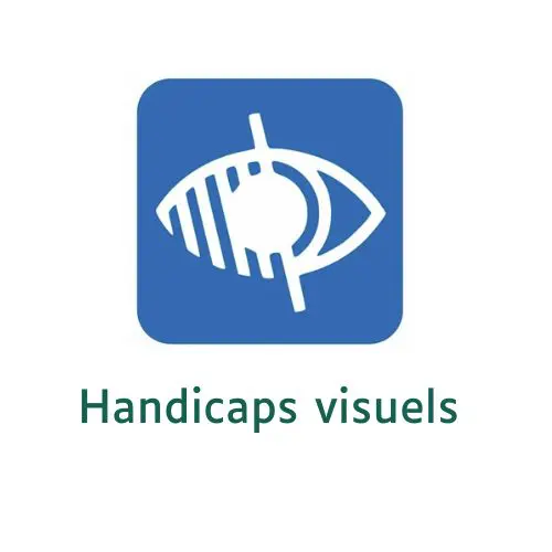 Logo Handicap visuel