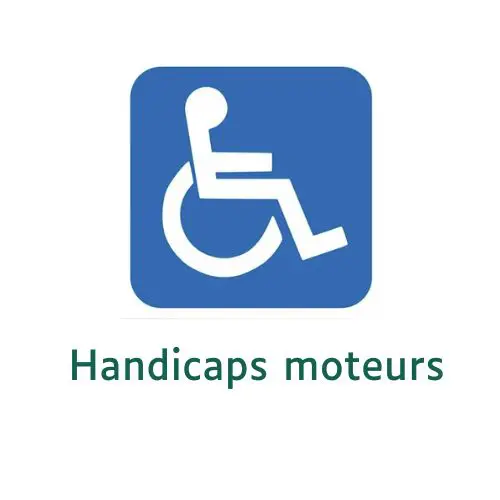 Logo handicap moteur